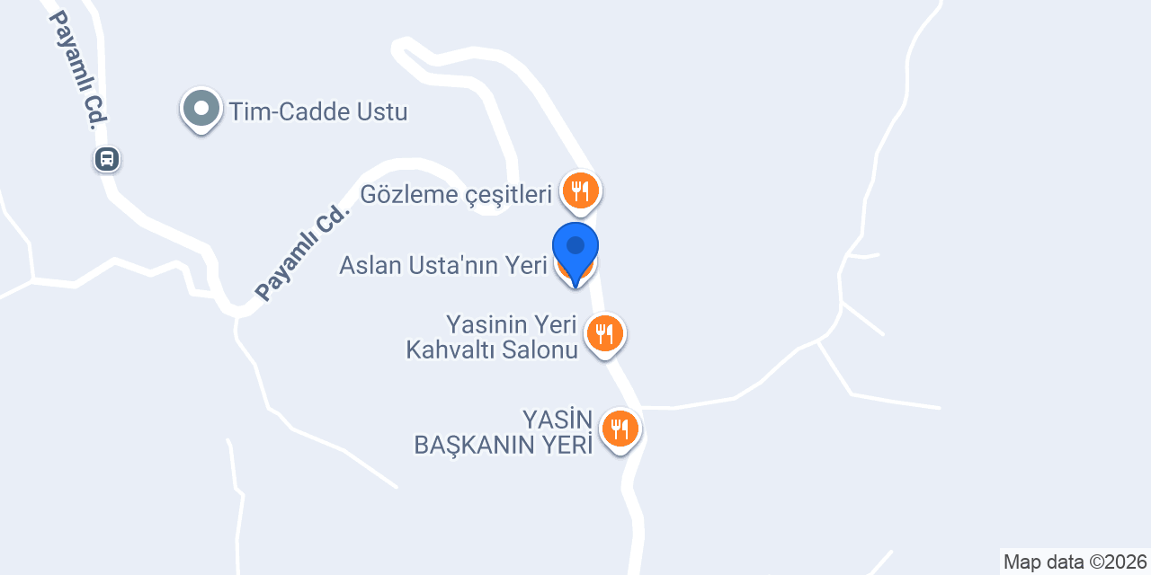 Aslan Usta'nın Yeri konumu