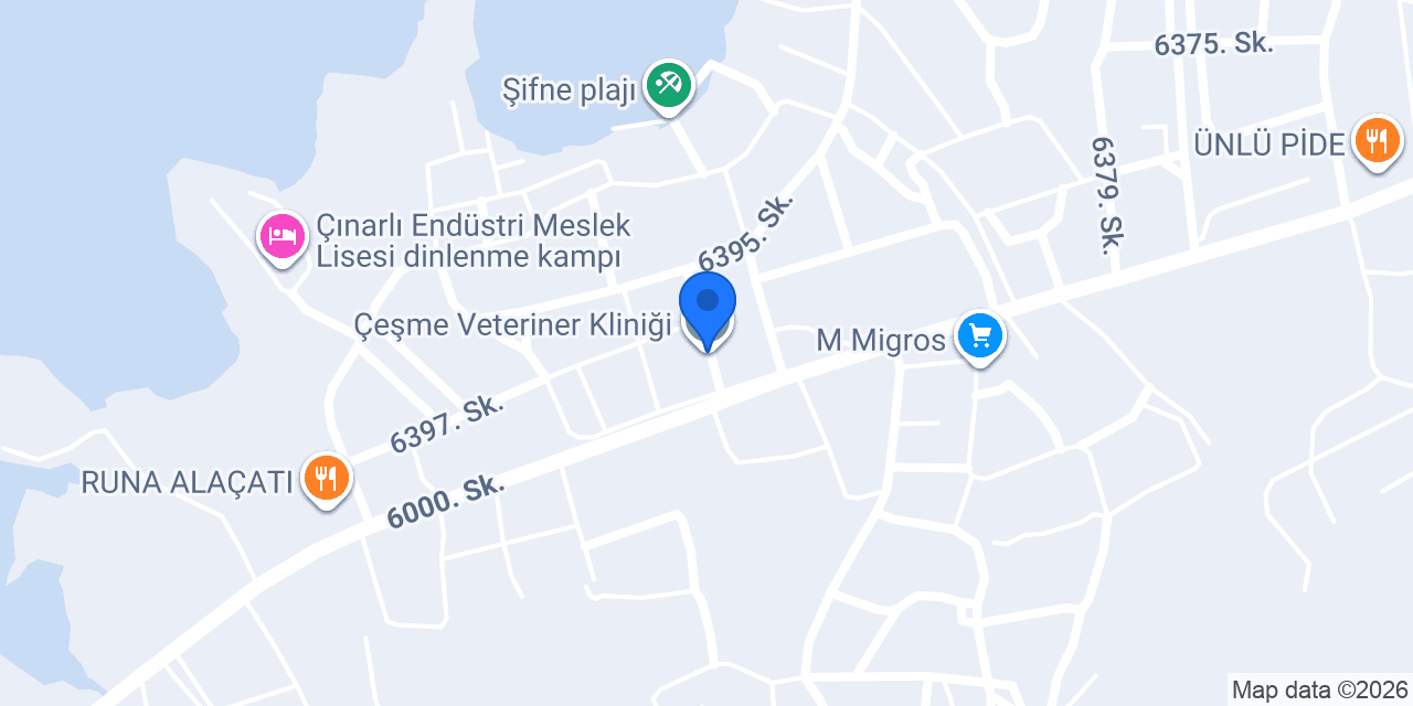 Çeşme Veteriner Kliniği konumu
