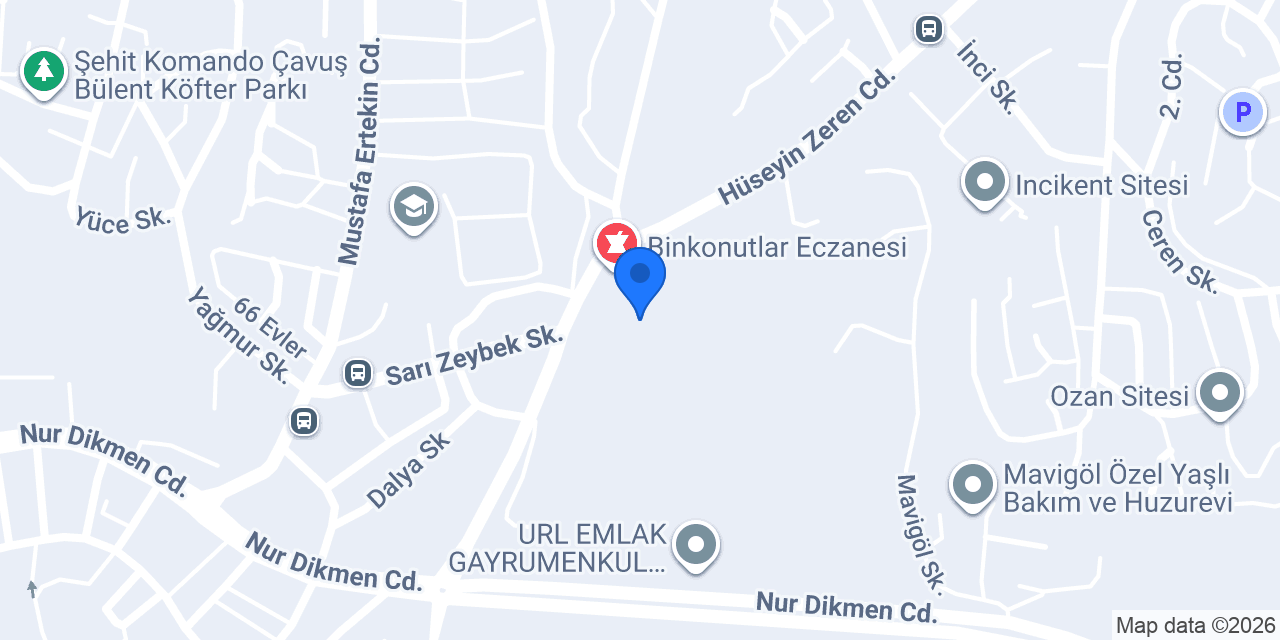 Beren Kırkpınar Tuncer konumu