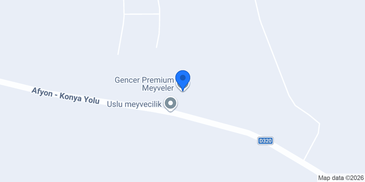 Gencer Premium Meyveler konumu