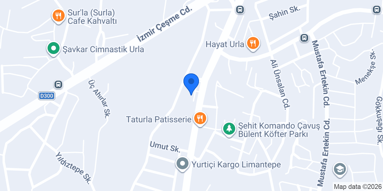 CarrefourSA konumu