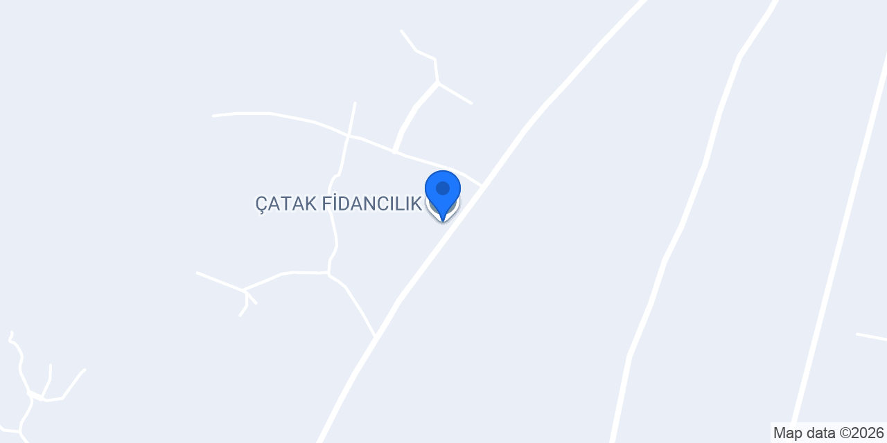 ÇATAK FİDANCILIK konumu