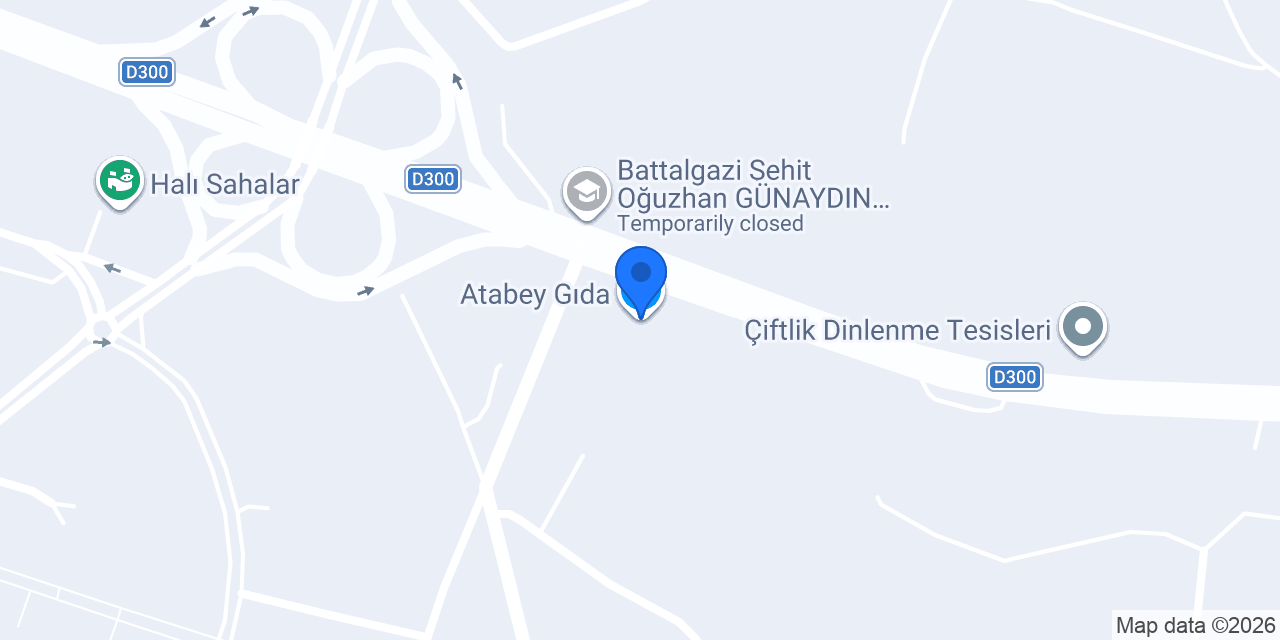 Atabey Gıda konumu