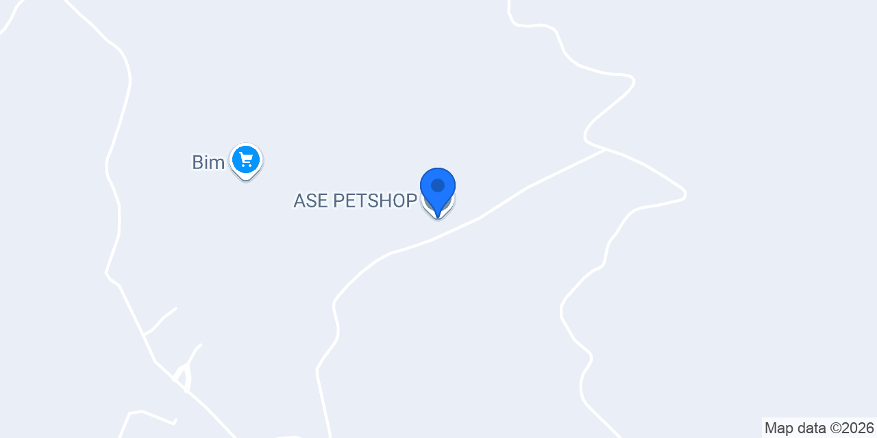 ASE PETSHOP konumu