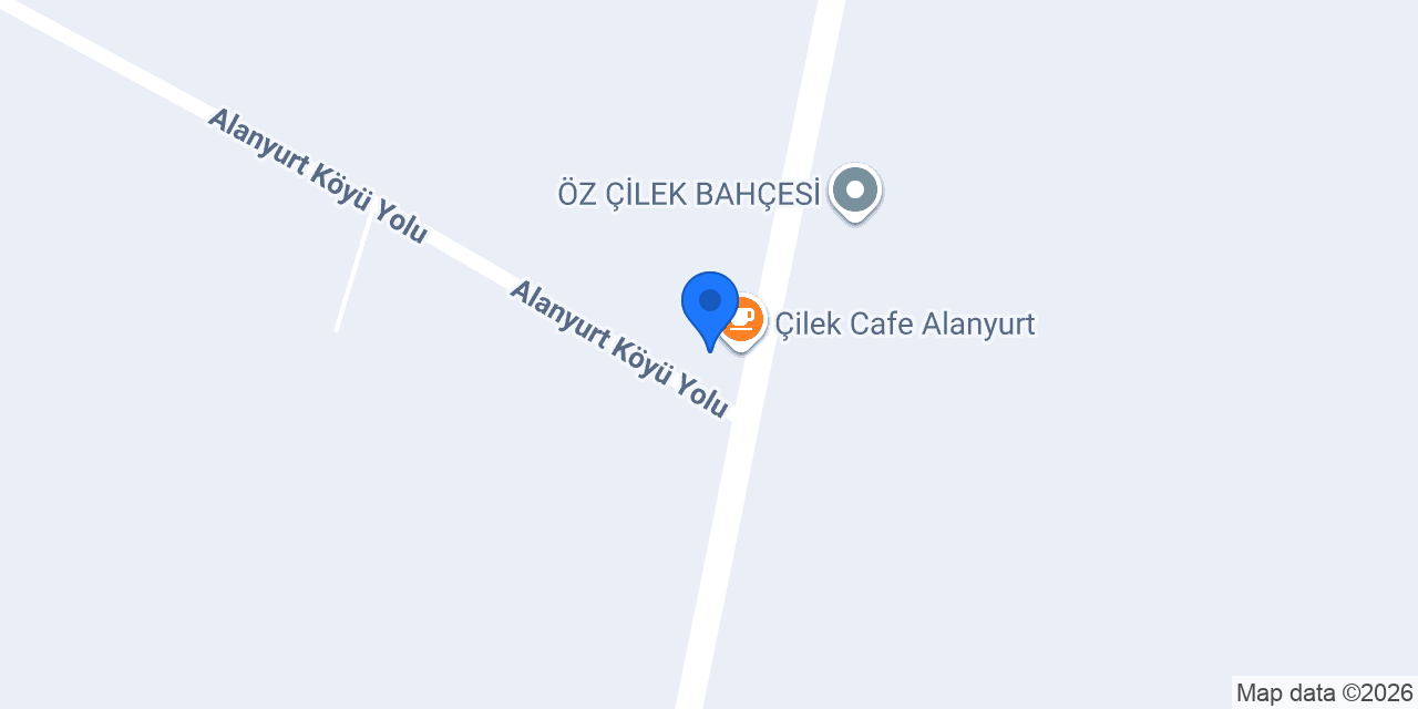 Alanyurt çilekçilik konumu