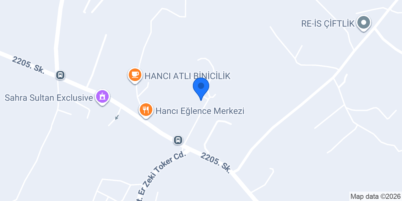 İzmir Cinsiyet Partisi konumu