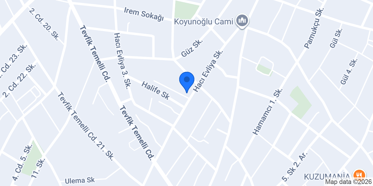 Koyunoğlu Et Ve Et Ürünleri konumu