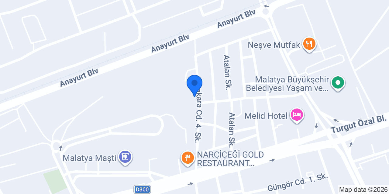 Orgeneral Eşref Bitlis Anadolu Lisesi konumu