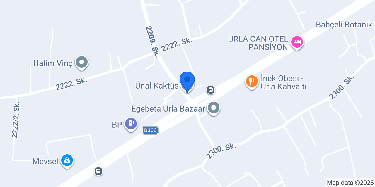 Ünal Kaktüs konumu