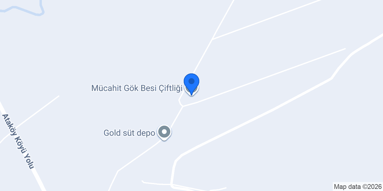 Mücahit Gök Besi Çiftliği konumu