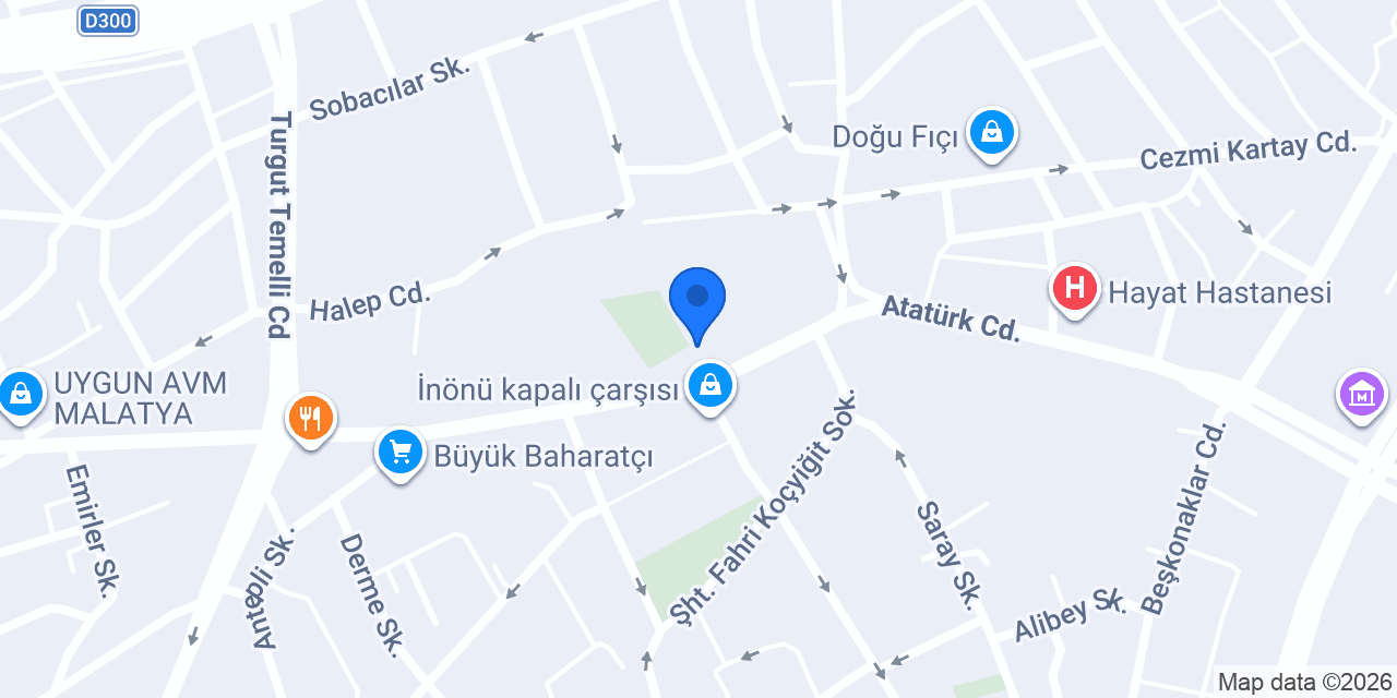 Adiyat Turizm konumu