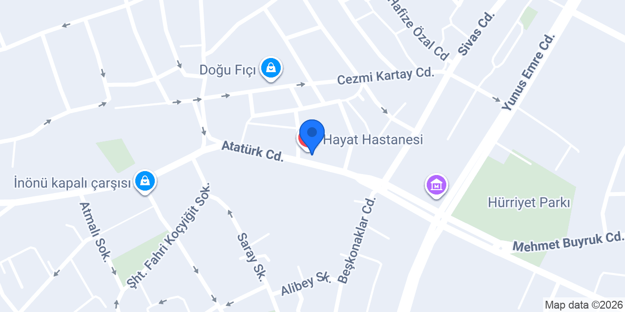 Nane Limon Eczanesi konumu