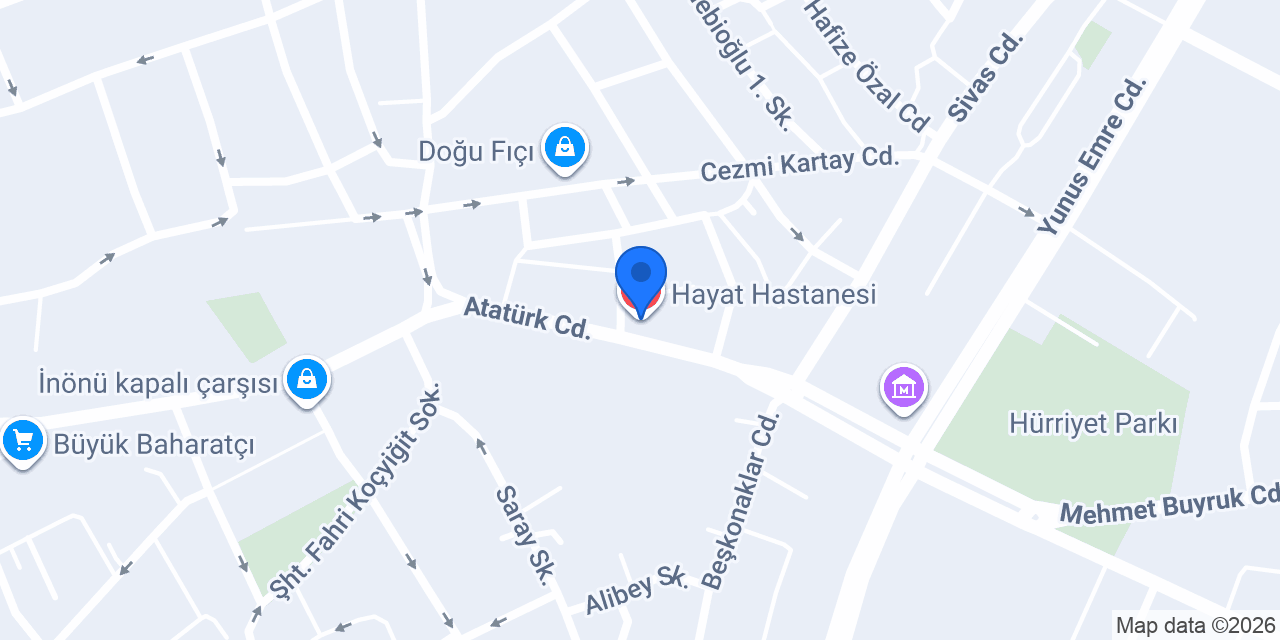 Hayat Hastanesi konumu