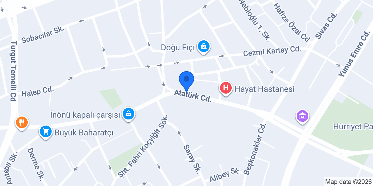 DOST DEDEKTÖR konumu