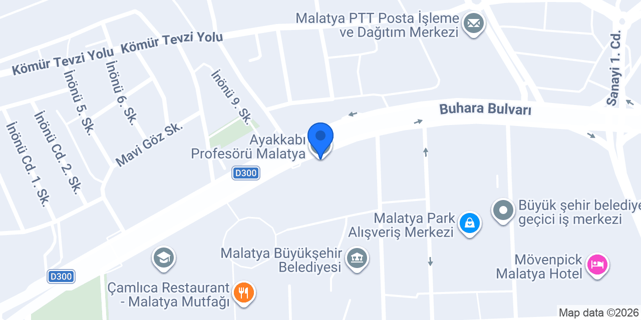 Ayakkabı Profesörü Malatya konumu
