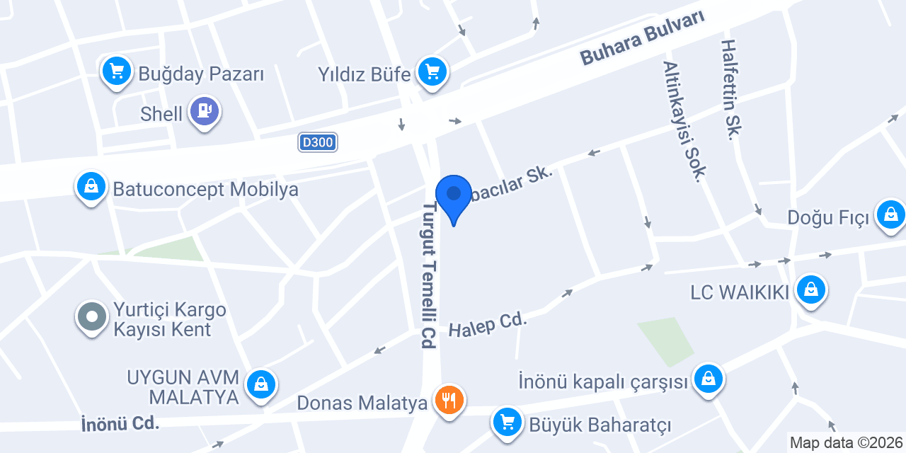 Özlem Cizre Nuh konumu