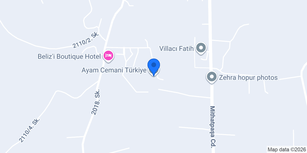 Ayam Cemani Türkiye konumu