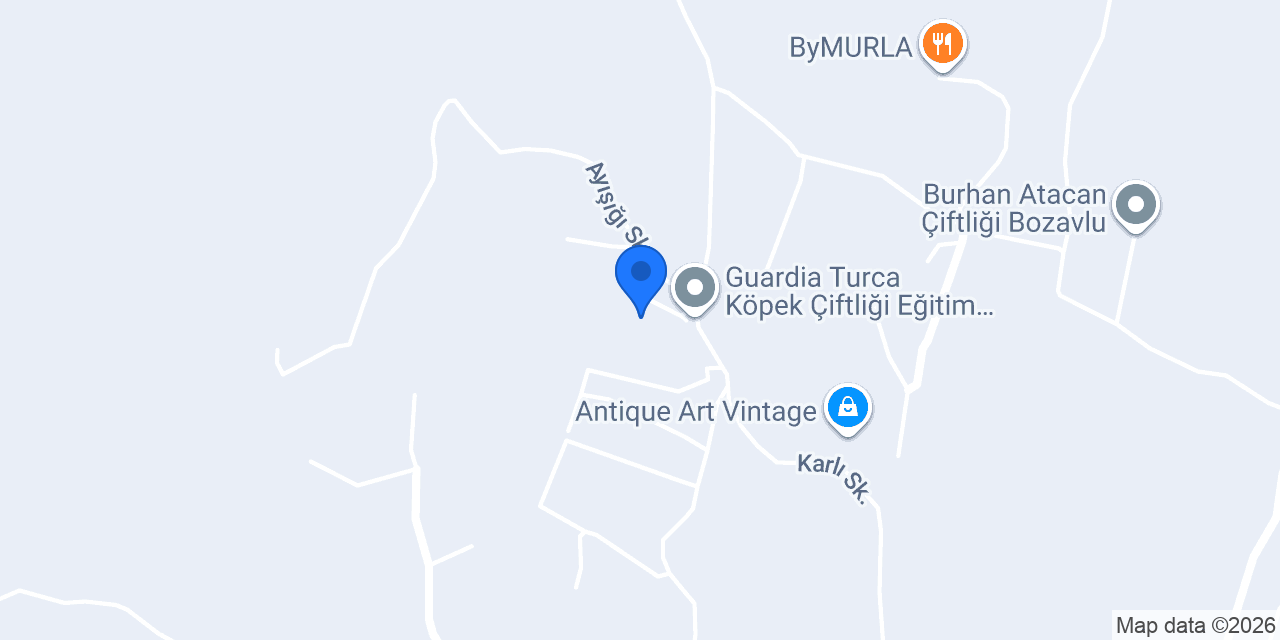 EnginarUrla konumu