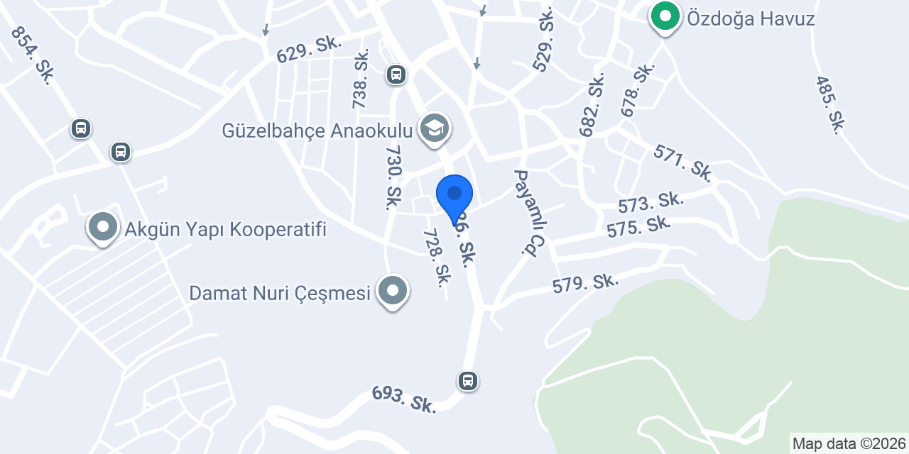 Terzi Ali konumu