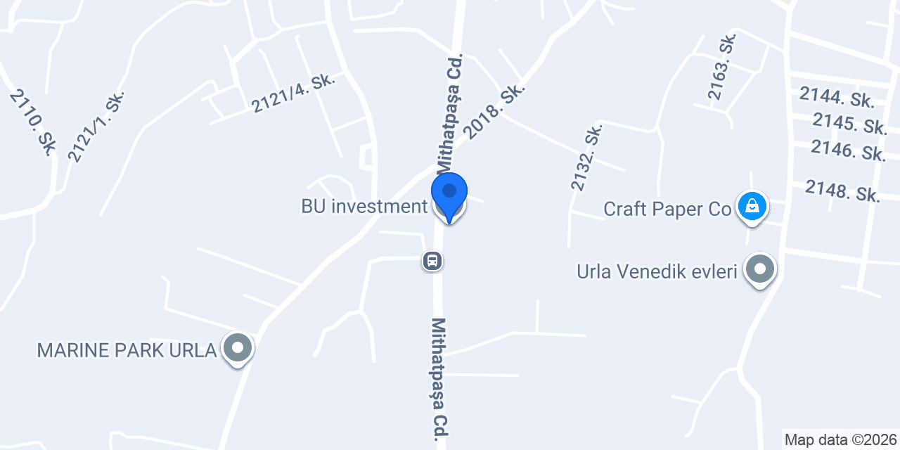 BU investment konumu