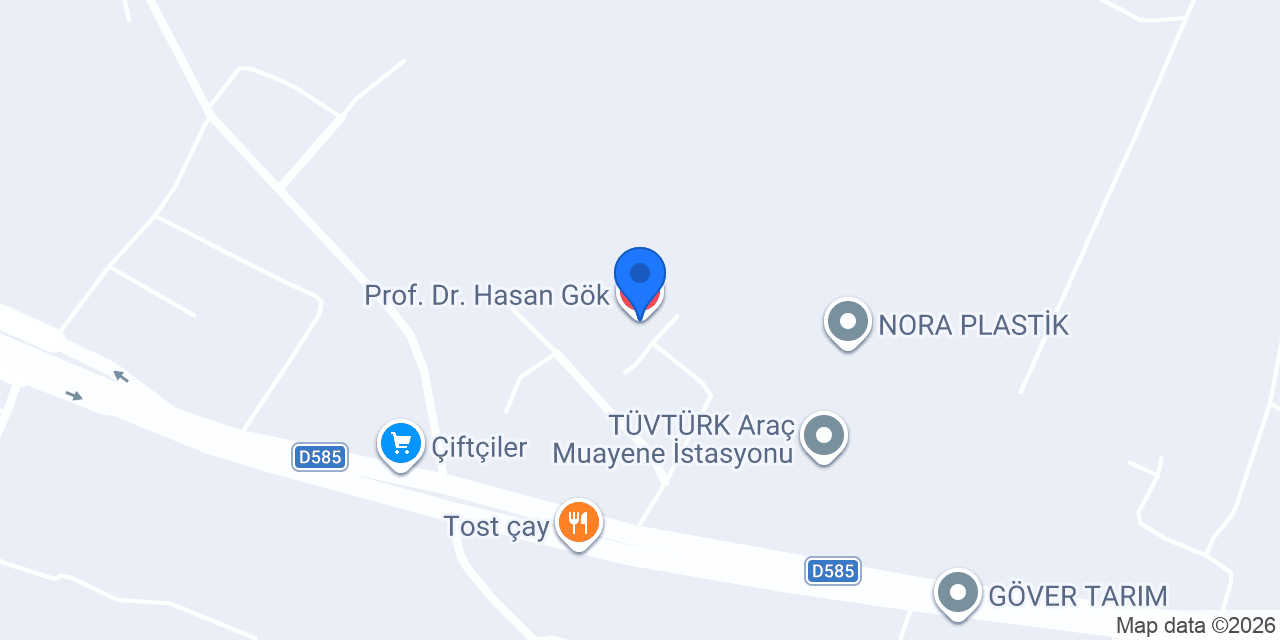 Prof. Dr. Hasan Gök konumu