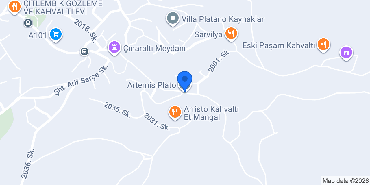 Artemis Plato konumu