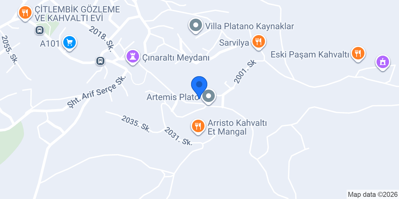 Dayının Yeri konumu