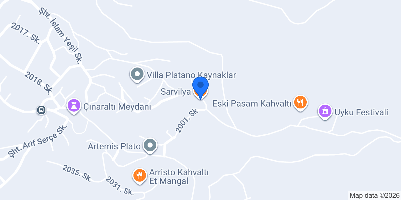 Sarvilya konumu
