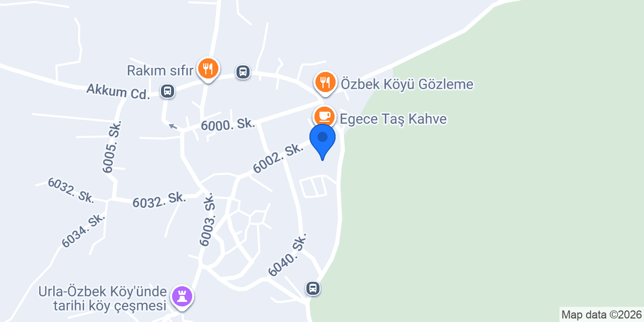 Özbek İlk-Orta Okulu konumu