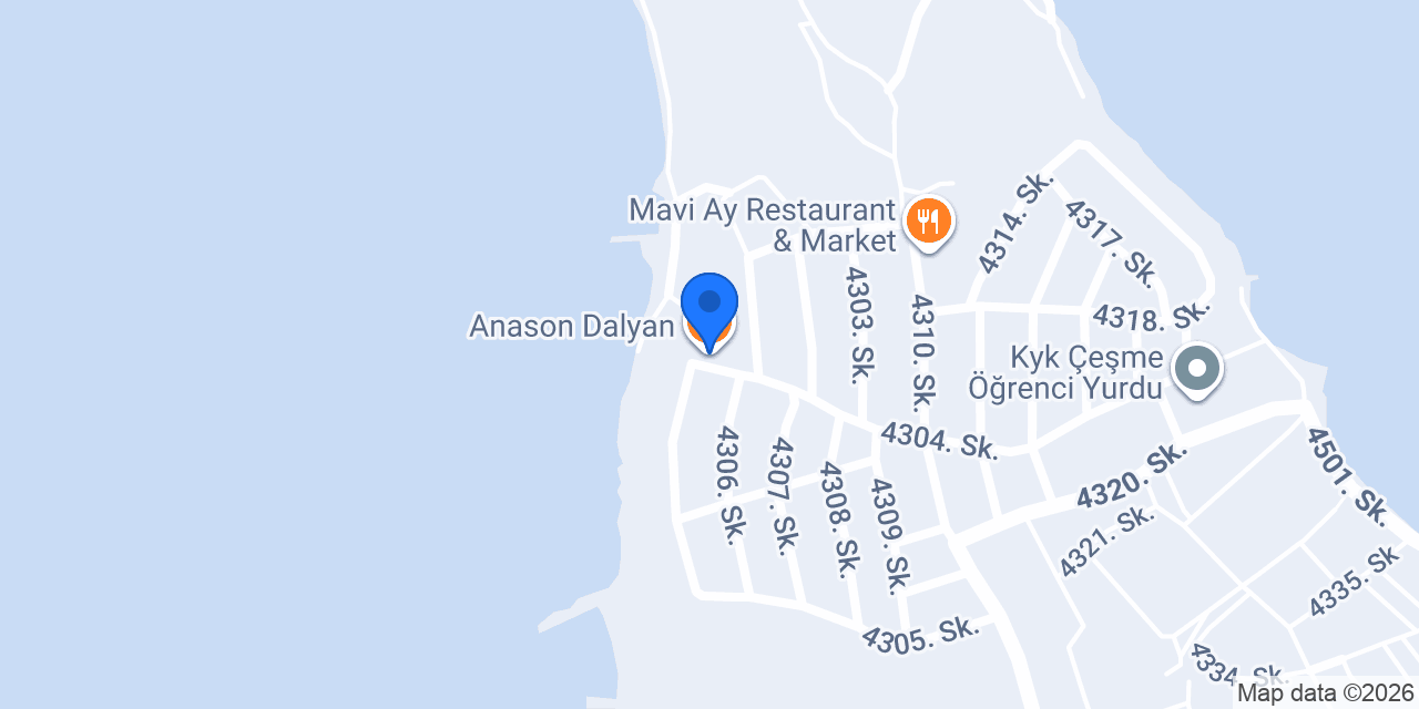 Anason Dalyan konumu