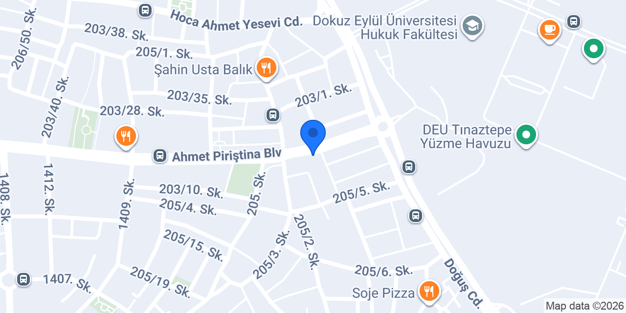 Pasaport Pizza Tınaztepe konumu