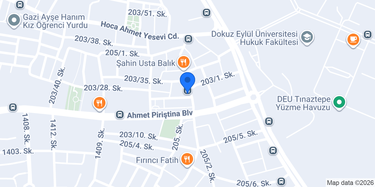 402 Pizza Tınaztepe konumu