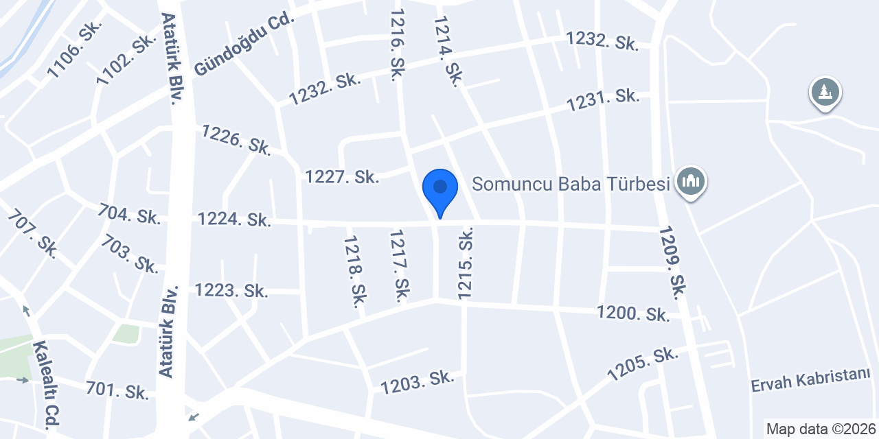 Vip Sistem Bilgi Teknolojileri konumu