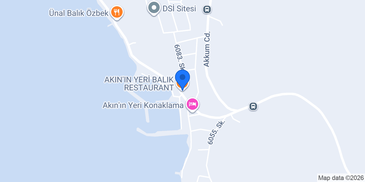 AKIN'IN YERİ BALIK RESTAURANT konumu