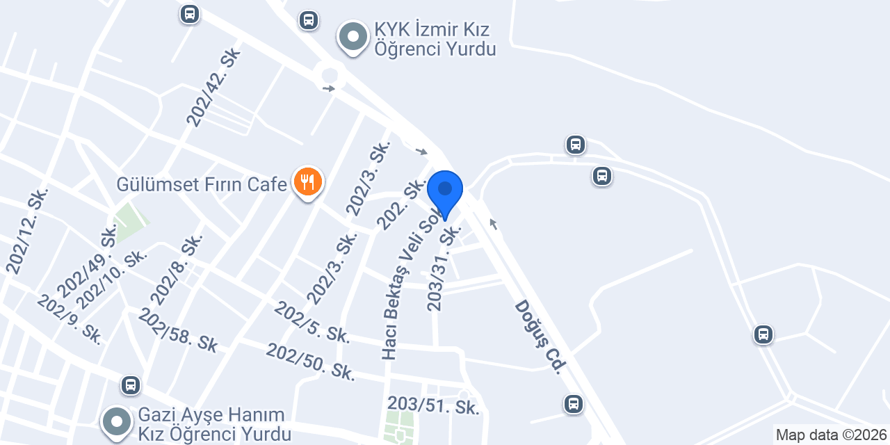Domino's Pizza Tınaztepe konumu