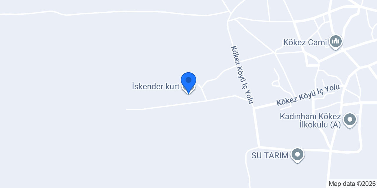 İskender kurt konumu