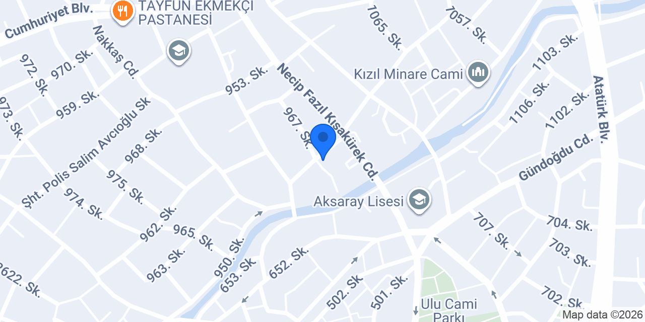 Papillon Psikoloji Danışmanlık konumu