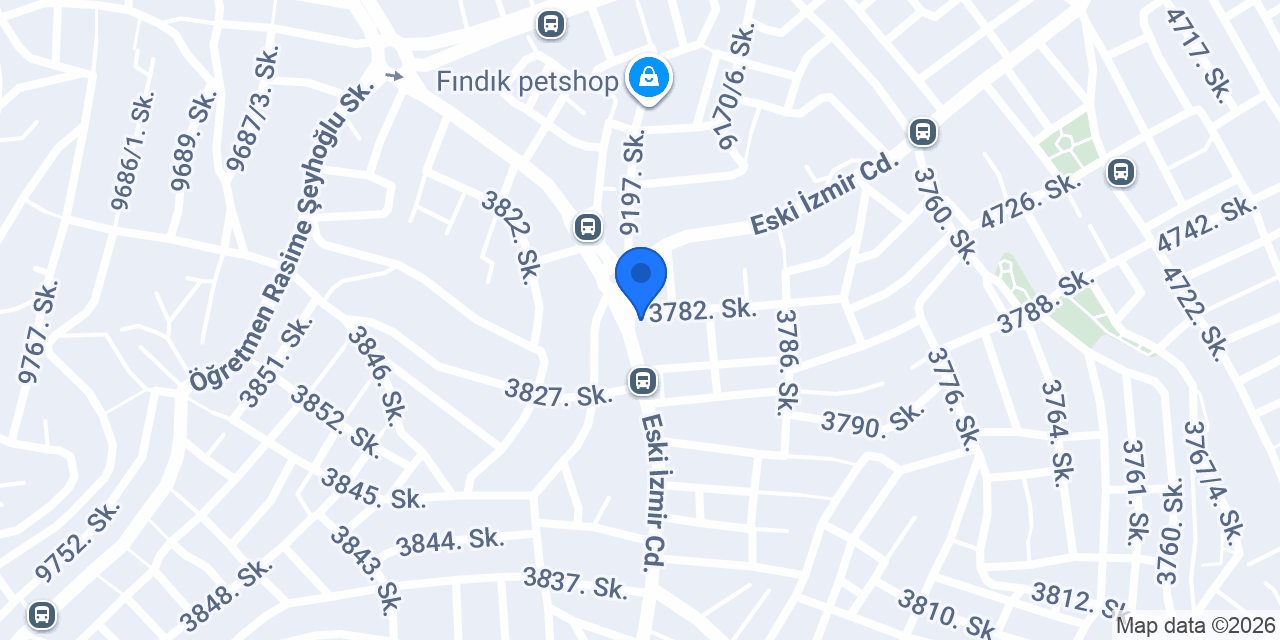 Budak Ticaret konumu
