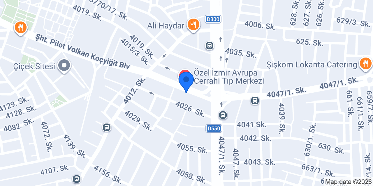Ege Can Mobilya konumu