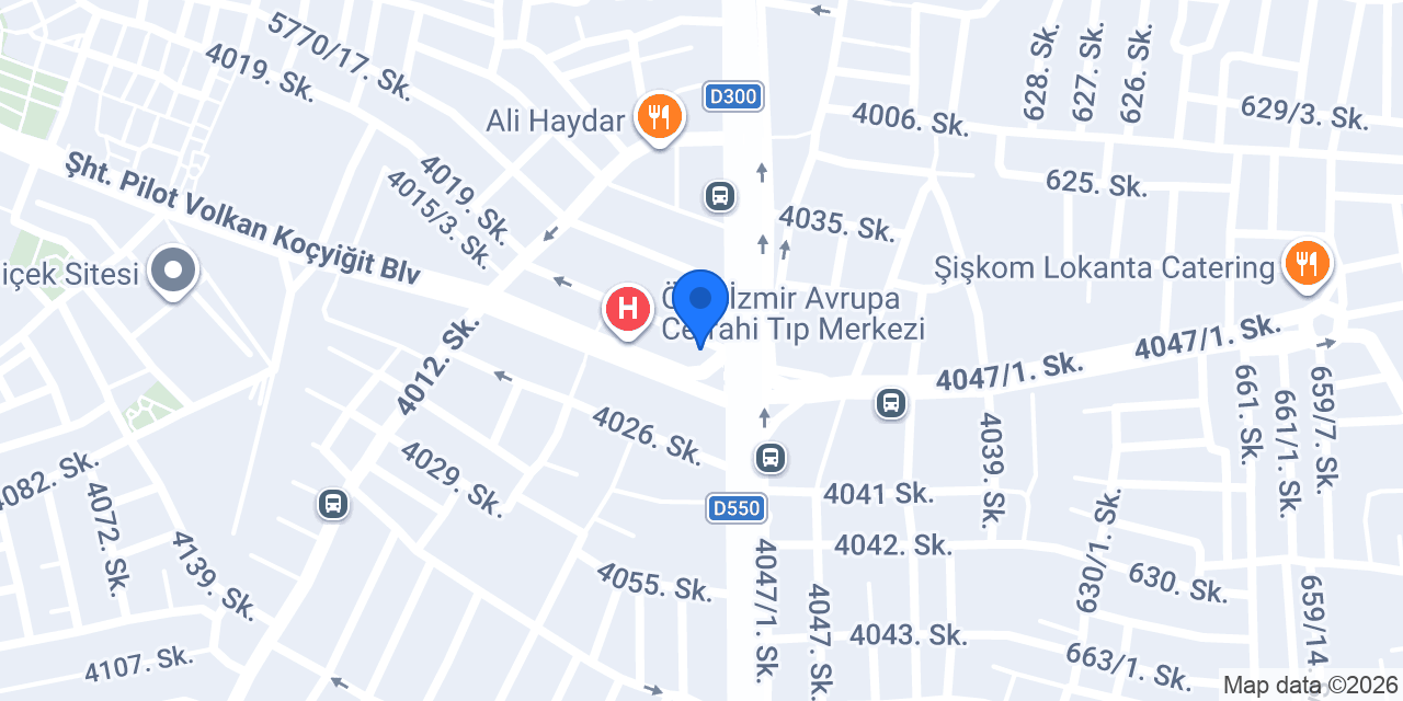 Domino's Pizza Karabağlar konumu