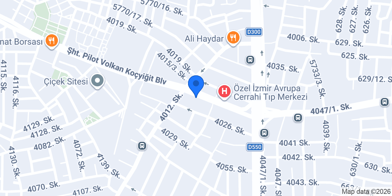 SVİP WORKS DENTAL konumu