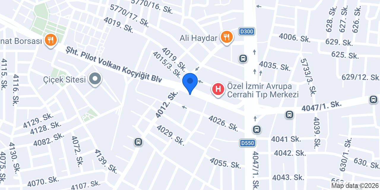 Terra Pizza - Karabağlar Koçyiğit konumu