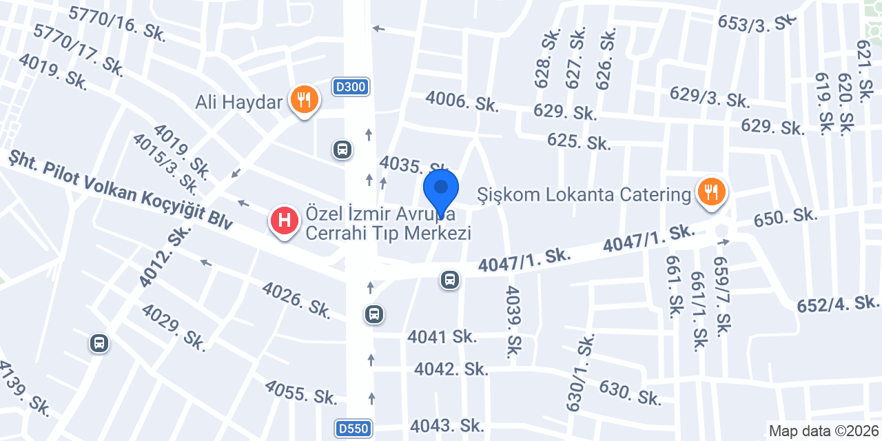 İZMİR BAŞARAN POMPA konumu