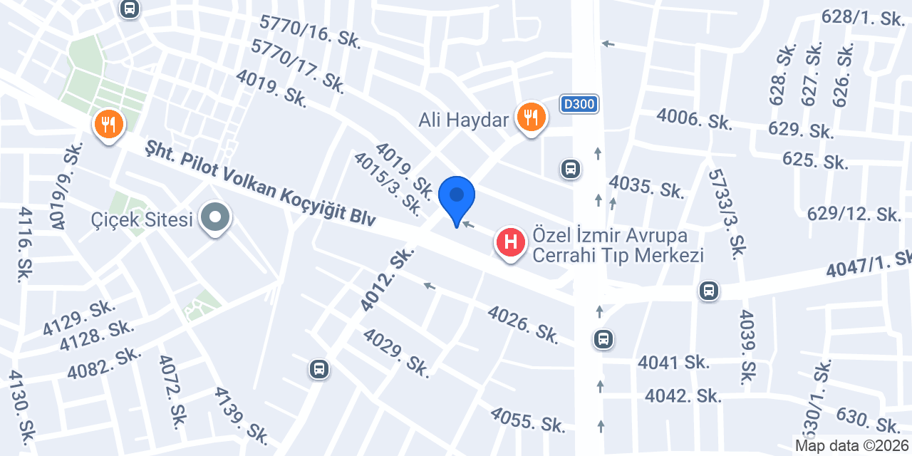 EGE LİDER DENETİM ve S.M.M.M. A.Ş. konumu
