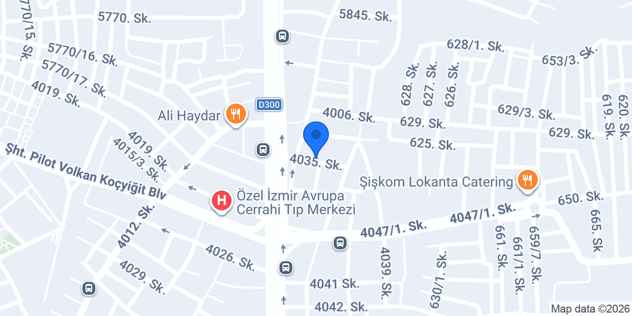 Bilen Özel Ford Servisi konumu