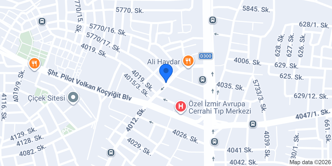 ÖDEMİŞLİ ADEM USTA konumu