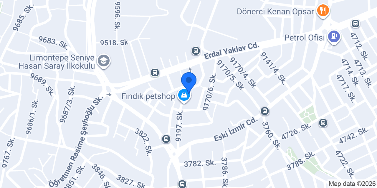 Yağmur Baca İzmir konumu