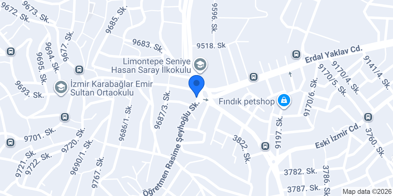 Vizyon Elektrik konumu