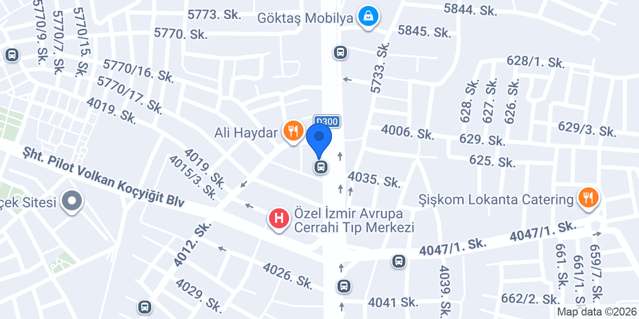 Gözde Sandalye konumu