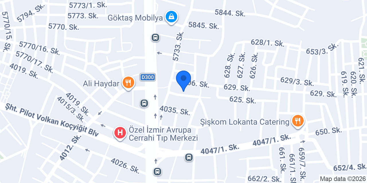 Buluç Oto konumu